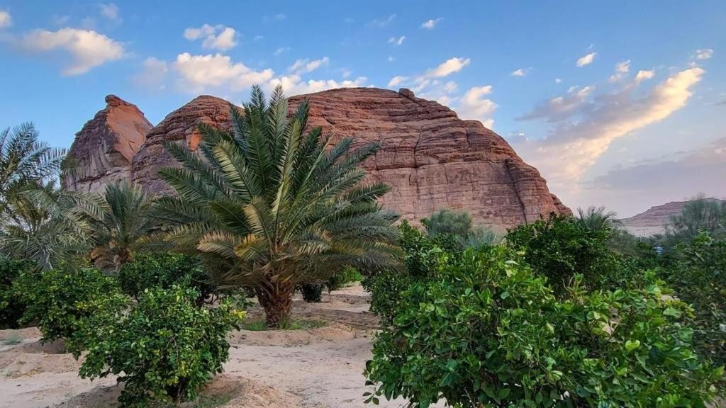 Villa الجوهرة Diamond Plus Al-'Ula Exterior foto