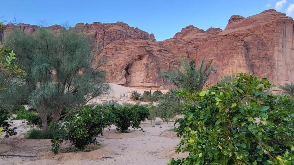 Villa الجوهرة Diamond Plus Al-'Ula Exterior foto